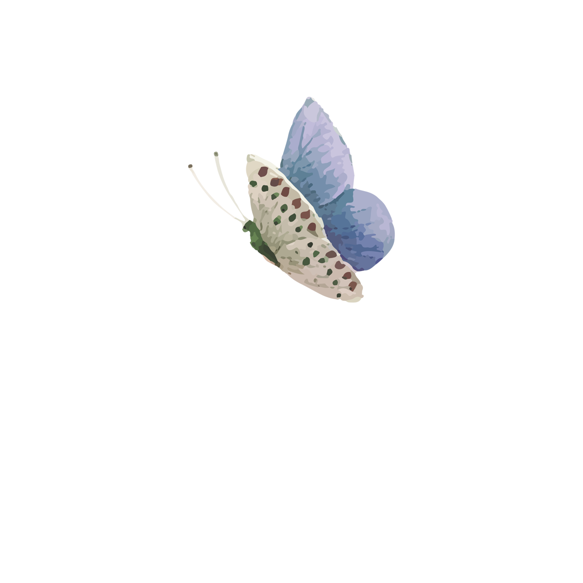 Peluqueria Claudia Ayala